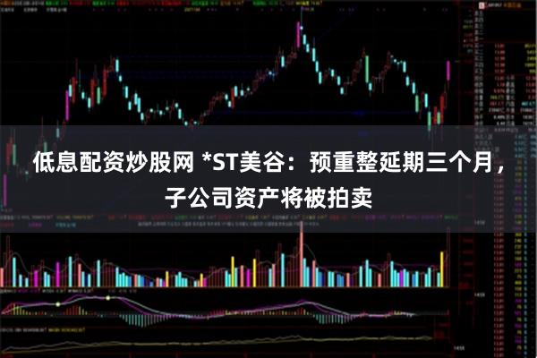 低息配资炒股网 *ST美谷：预重整延期三个月，子公司资产将被拍卖