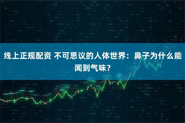 线上正规配资 不可思议的人体世界：鼻子为什么能闻到气味？