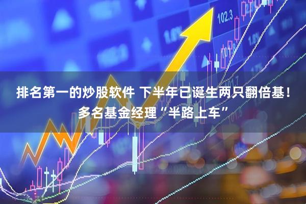 排名第一的炒股软件 下半年已诞生两只翻倍基！多名基金经理“半路上车”